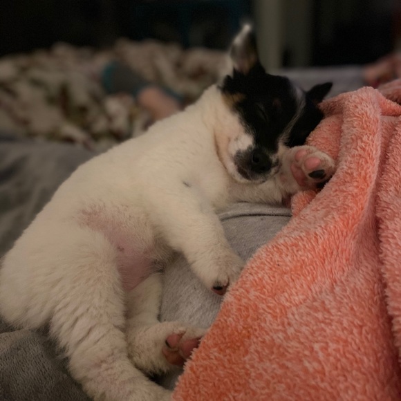 Meet your Posher, Alexsandra - Picture 1 of 1